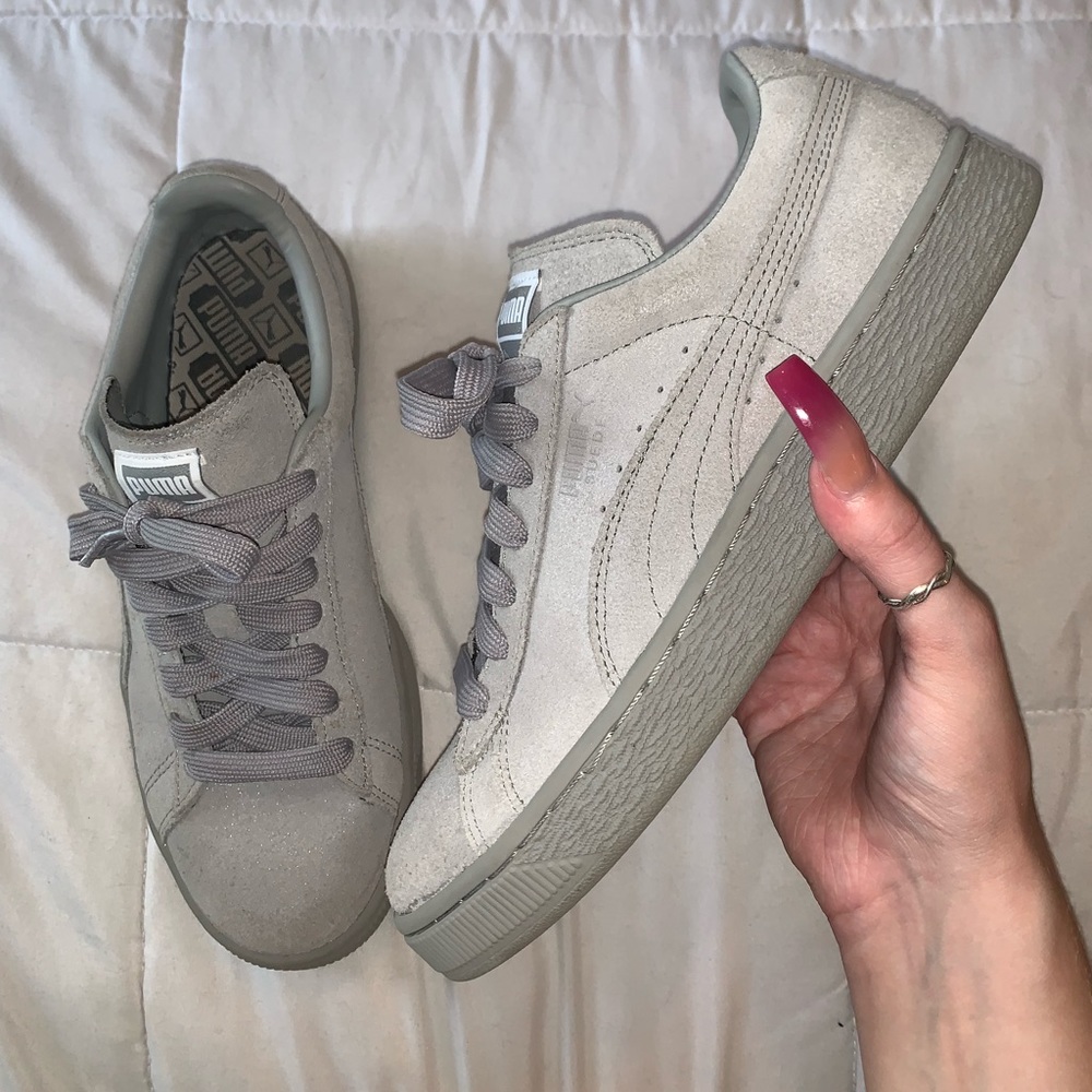 Grey pumas